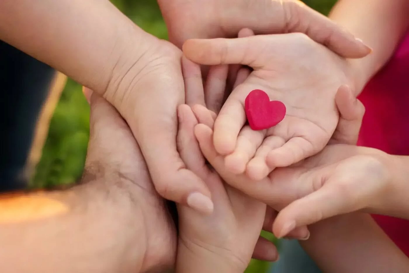 Las manos de una familia juntas alrededor de un pequeño corazón